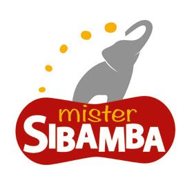 Arachidi tostate e salate mister sibamba